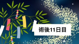 半月板入院日記 #13　膝にヒアルロン酸注射をした