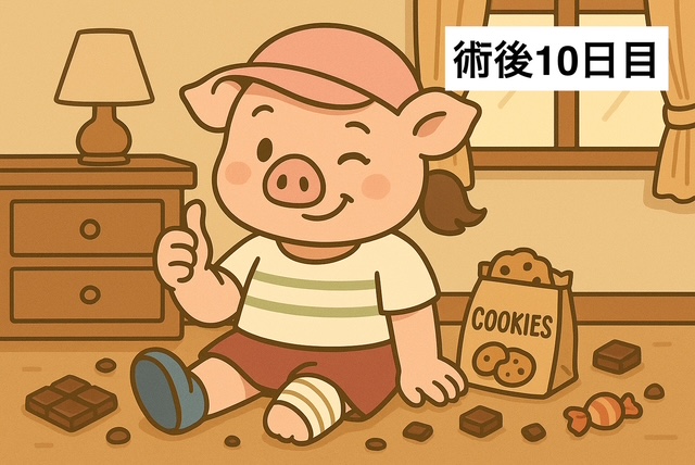 【右膝半月板損傷⑫】手術後10日目