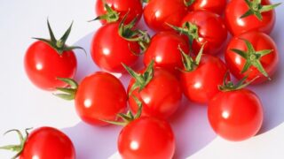 プチトマト栽培⑫　５ヶ月で初めての赤い実♪