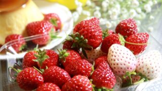 いちごを種から育てる・プランター栽培編③　活力液を入れてみた