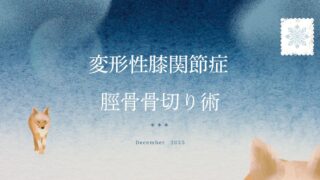 変形性膝関節症で脛骨骨切り術（けいこつ こつきりじゅつ）