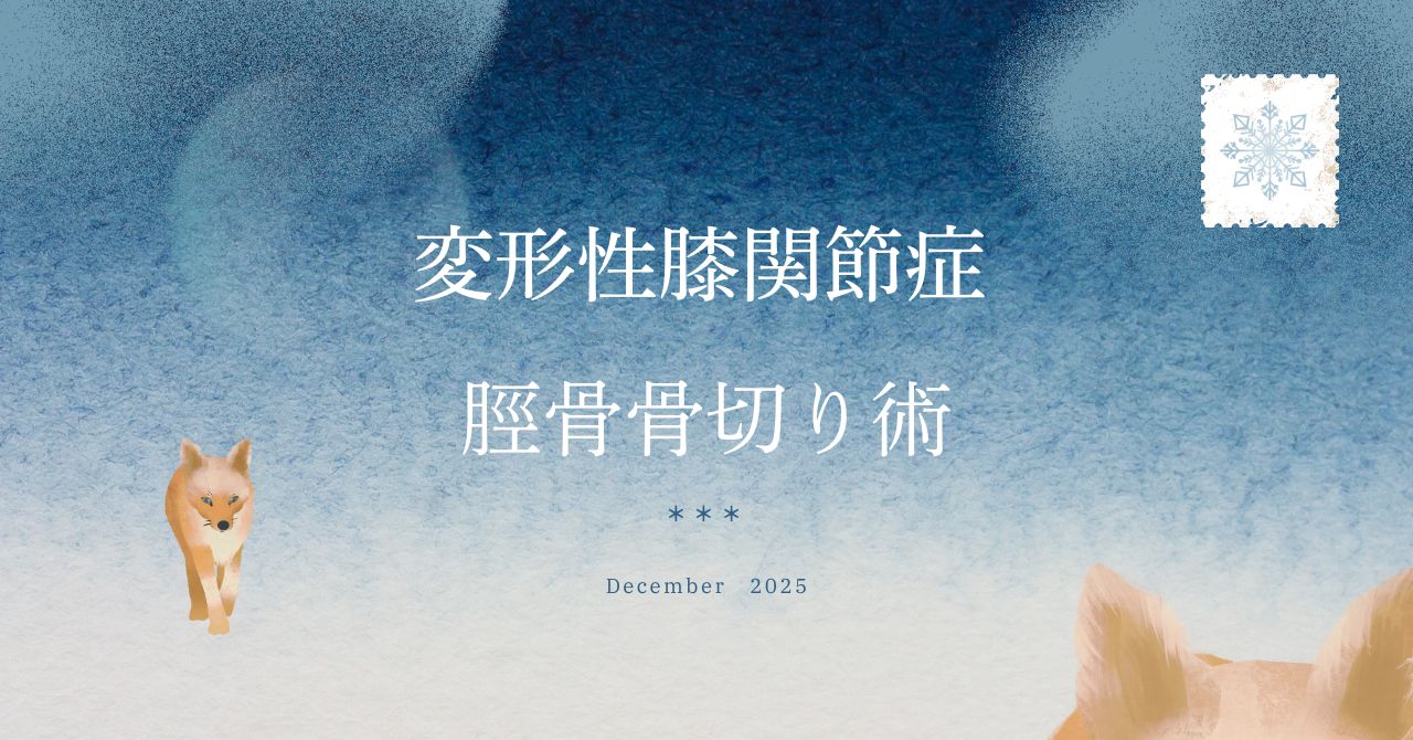 変形性膝関節症で脛骨骨切り術（けいこつ こつきりじゅつ）