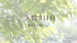 右脛骨近位骨切り　入院日記 #3- 術後2日目　薬が効いて痛くない