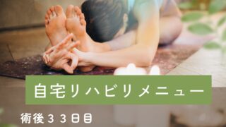 脛骨の骨切り日記 #14- 術後33日目　松葉杖が１本になった