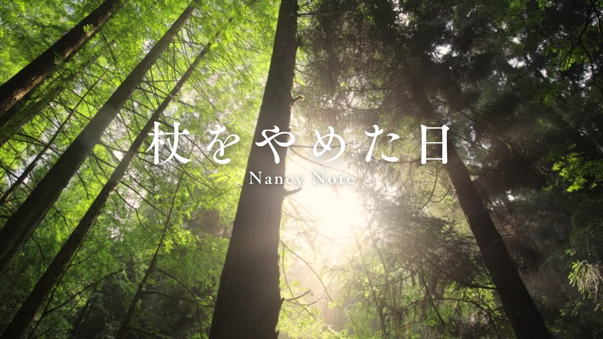 脛骨の骨切り日記 #24　杖を卒業しました