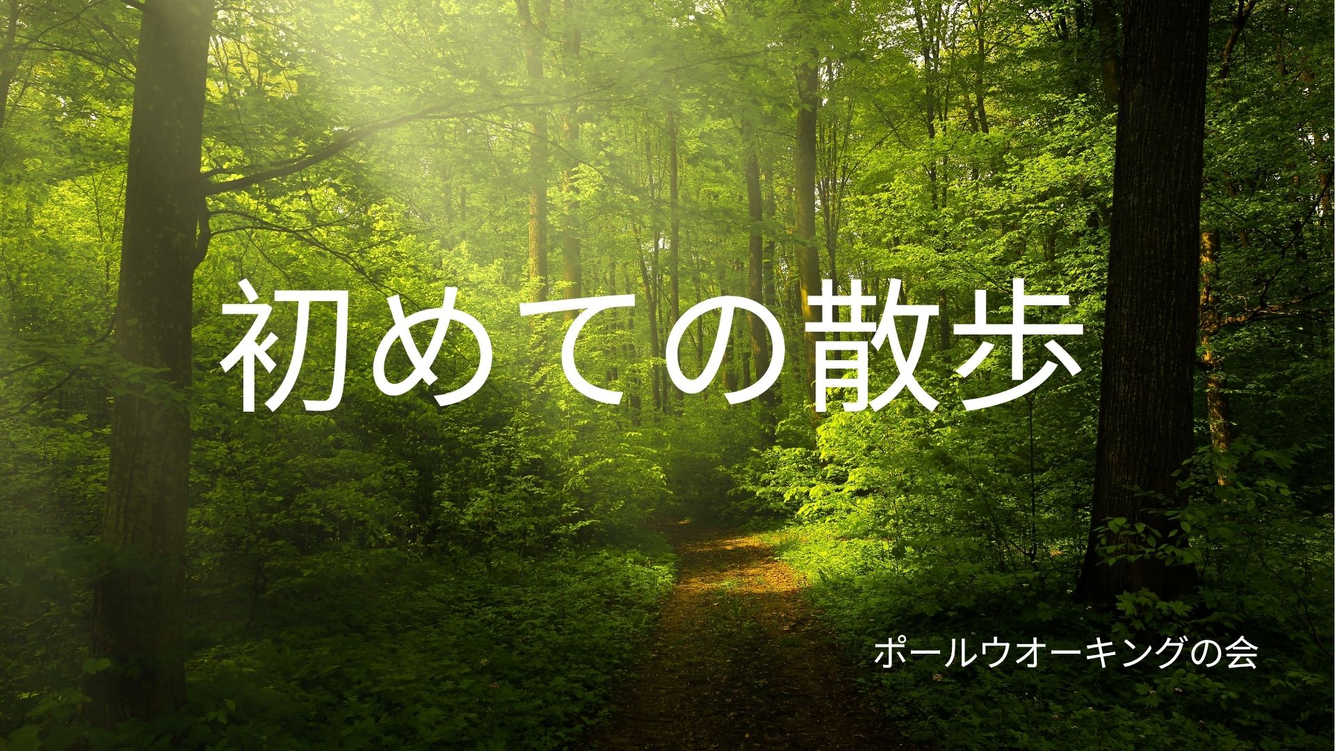 脛骨の骨切り日記 #26　ウオーキングの会に参加